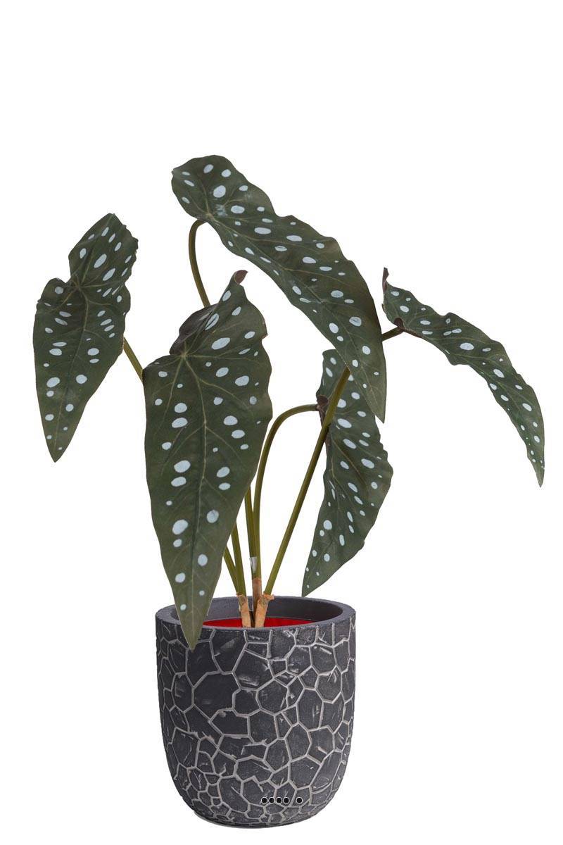 Artificielles - Begonia Maculata factice en pot, 5 grandes feuilles panachées, H35cm - Imagen 2