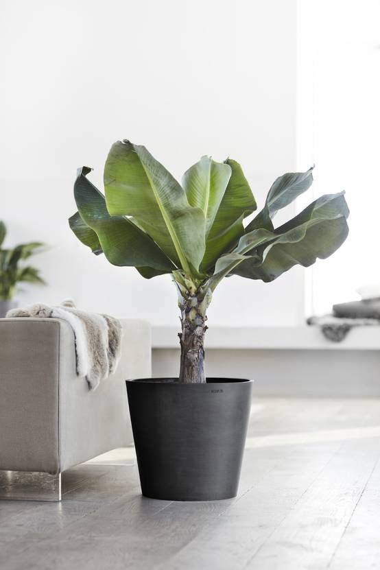 Ecopots - Pot Rond Amsterdam 40 Gris Foncé + réservoir d'eau - Ø 40 x H. 35 cm - 28 L ECOPOTS - Imagen 5