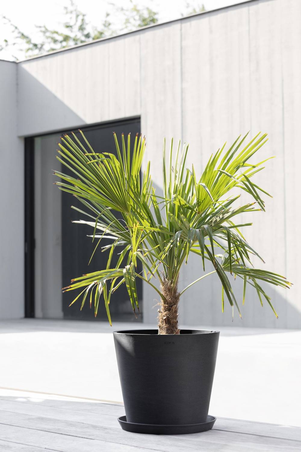 Ecopots - Pot Rond Amsterdam 40 Gris Foncé + réservoir d'eau - Ø 40 x H. 35 cm - 28 L ECOPOTS - Imagen 3