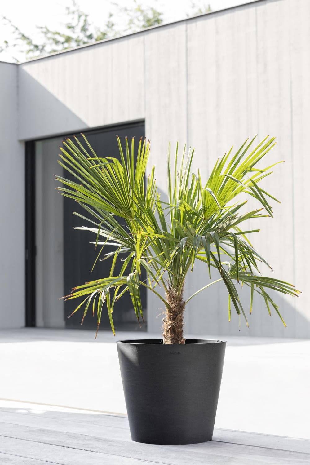 Ecopots - Pot Rond Amsterdam 40 Gris Foncé + réservoir d'eau - Ø 40 x H. 35 cm - 28 L ECOPOTS - Imagen 4
