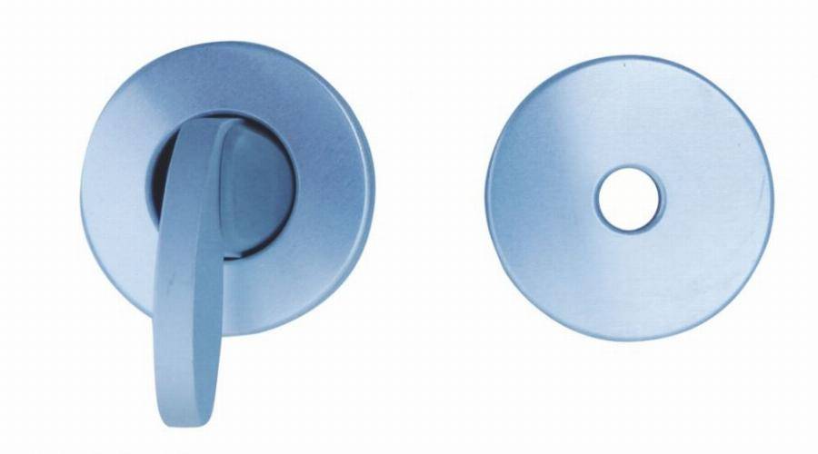Paire rosette 6600 argent BEZAULT - Condamnation - 0125969