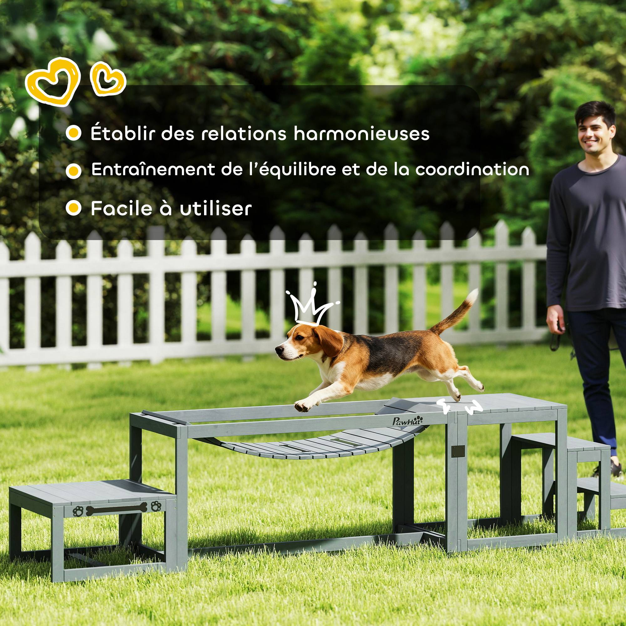 Kit d'agilité pour chien bois gris 117 x 50 x 56 cm - PANGIVO - Image 8