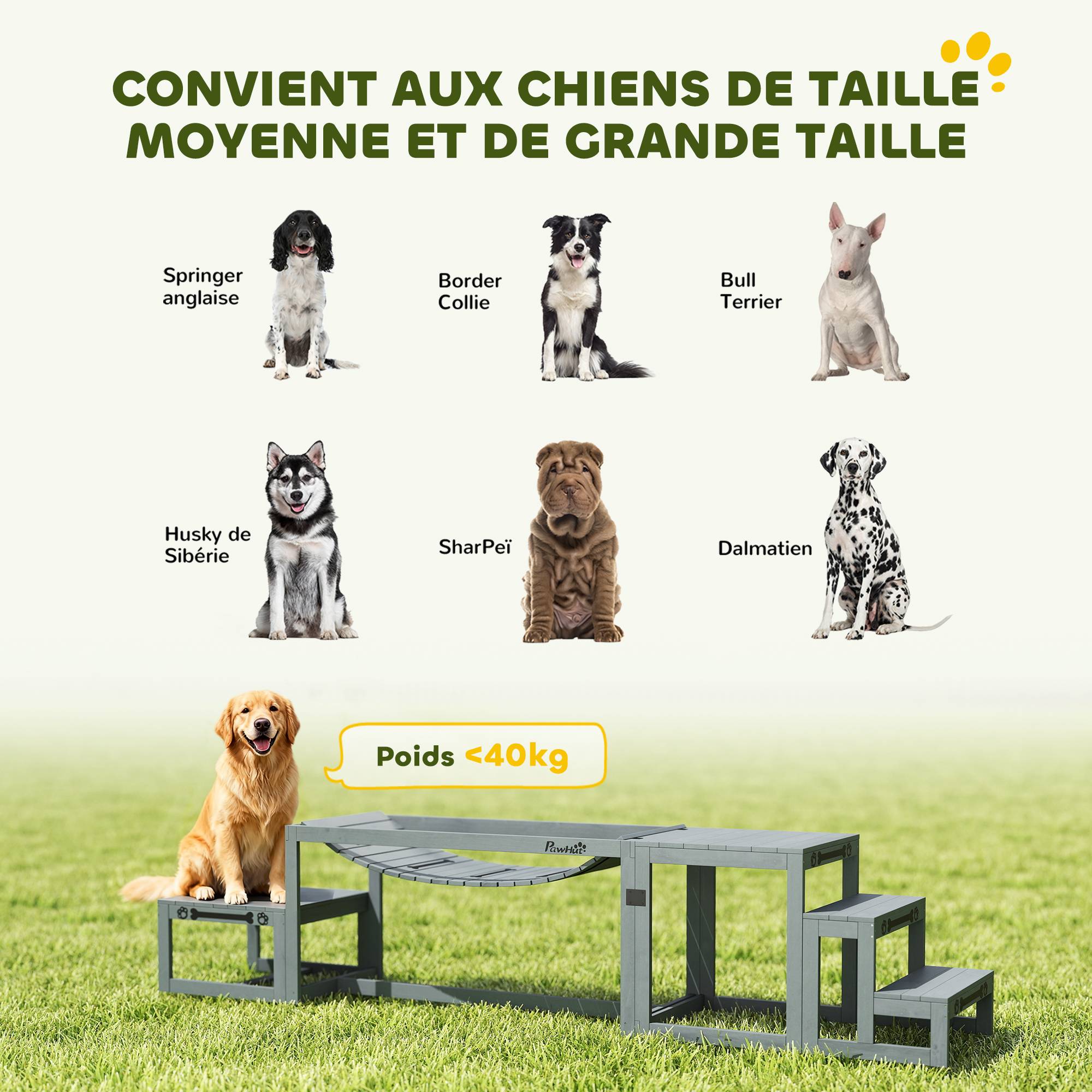 Kit d'agilité pour chien bois gris 117 x 50 x 56 cm - PANGIVO - Image 9