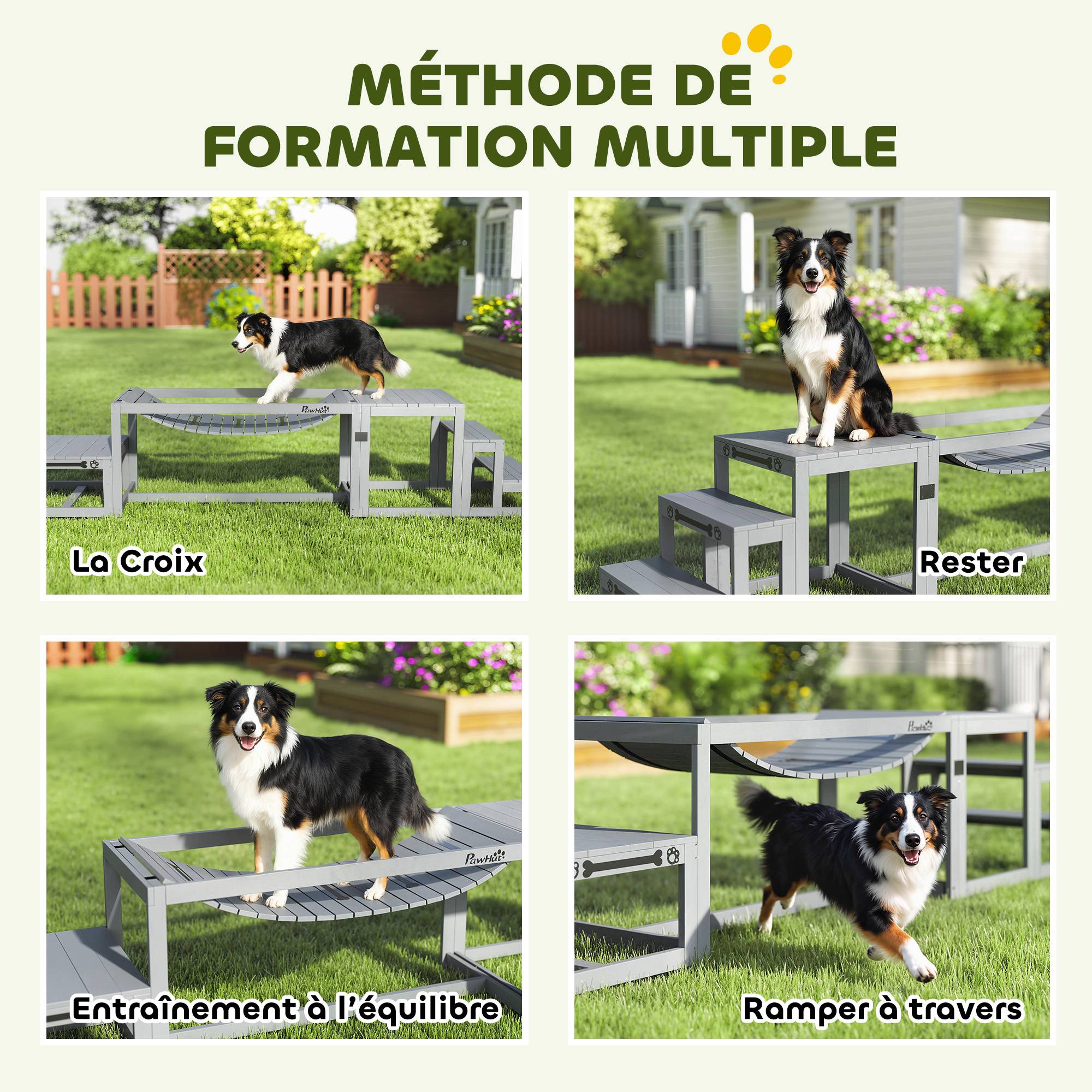 Kit d'agilité pour chien bois gris 117 x 50 x 56 cm - PANGIVO - Image 7