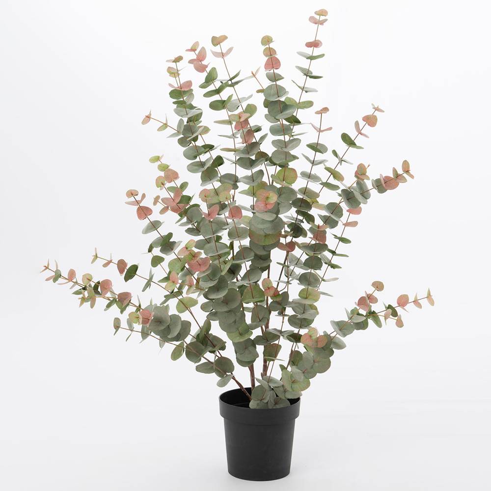 Eucalyptus 120 cm - Image 1