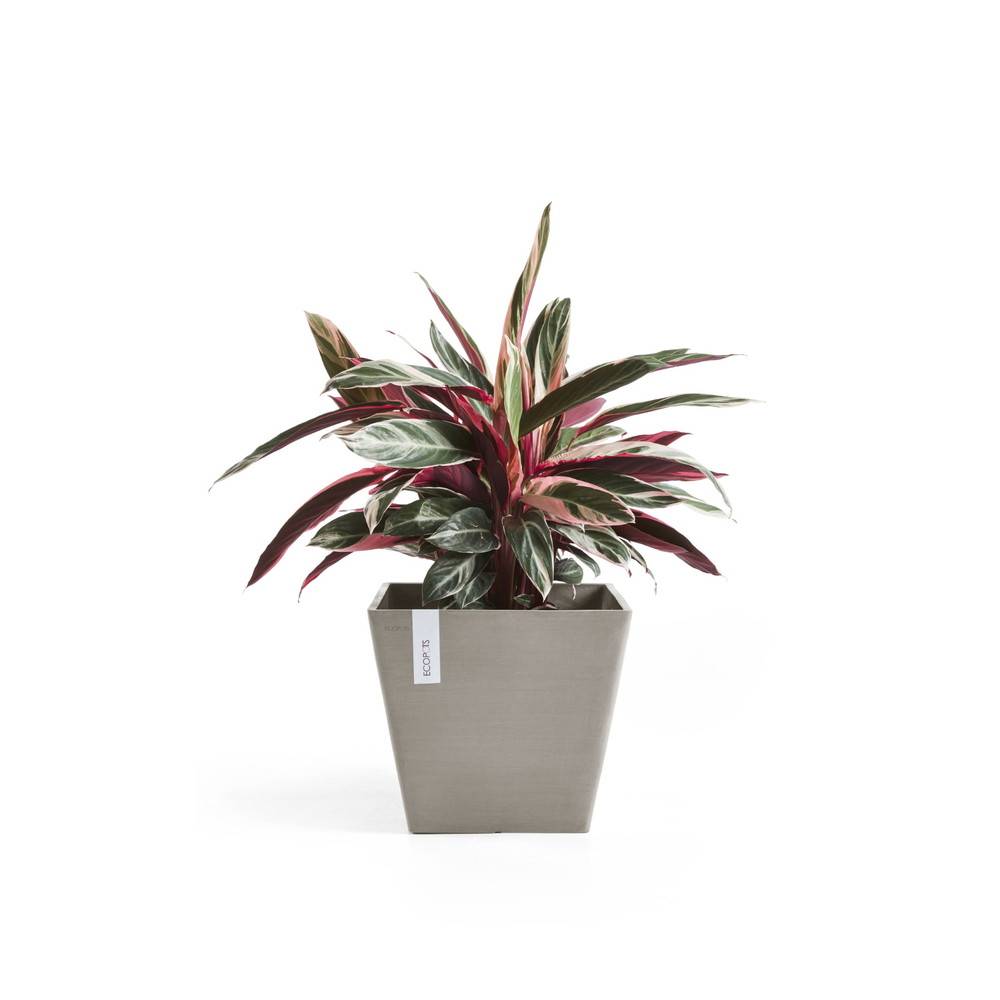 Ecopots - Pot Carré Rotterdam 50 Taupe - 50 x 50 x H. 44 cm - 75 L ECOPOTS - Imagen 2