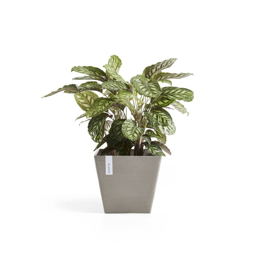 Ecopots - Pot Carré Rotterdam 50 Taupe - 50 x 50 x H. 44 cm - 75 L ECOPOTS - Imagen 3