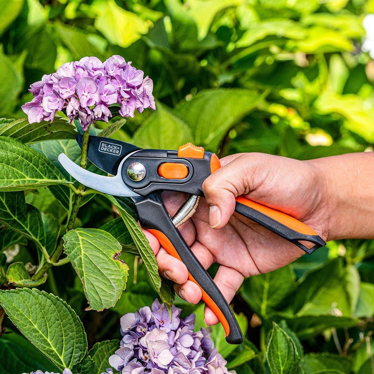 Sécateur de jardin Lame en Acier Trempé 20.3cm - Ciseaux de Jardin Coupe 13mm Plantes, Haies et Fleurs Black&Decker - Imagen 3