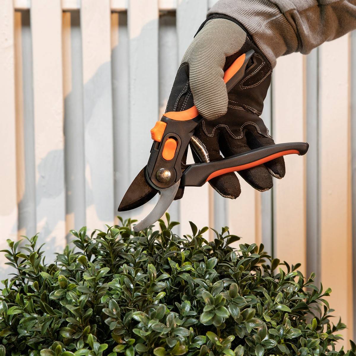Sécateur de jardin Lame en Acier Trempé 20.3cm - Ciseaux de Jardin Coupe 13mm Plantes, Haies et Fleurs Black&Decker - Imagen 5