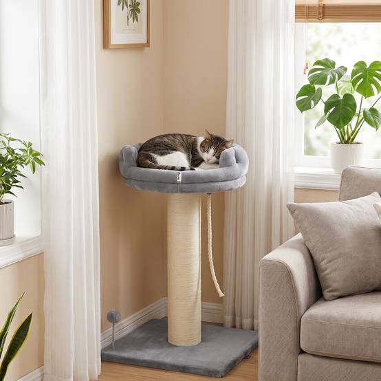 Arbre à chat panier, 1 panier, jouet inclus, 55x55x83 cm, gris - Image 4