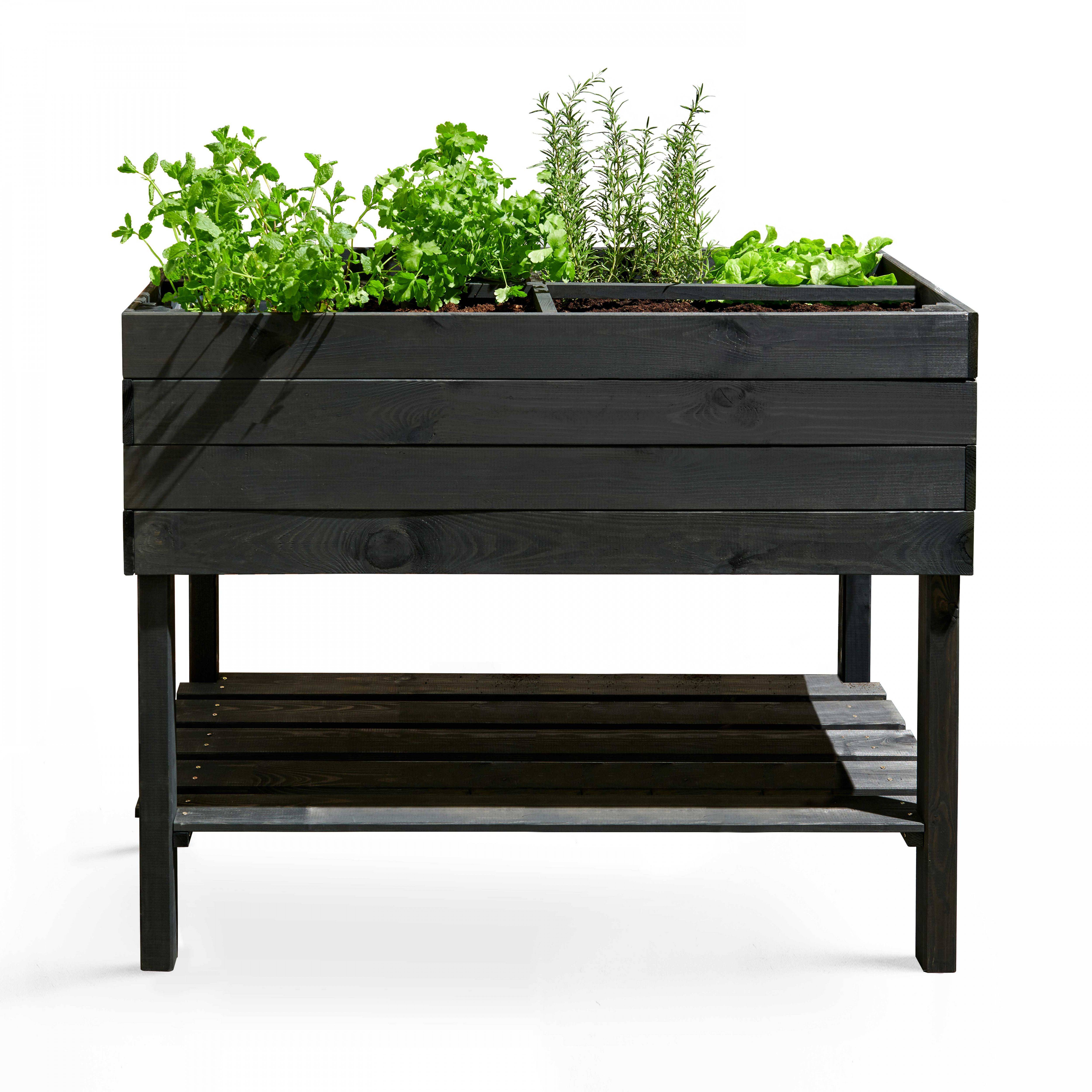 Oviala - Potager en bois rectangulaire sur pied gris
Topi - Oviala - Imagen 1