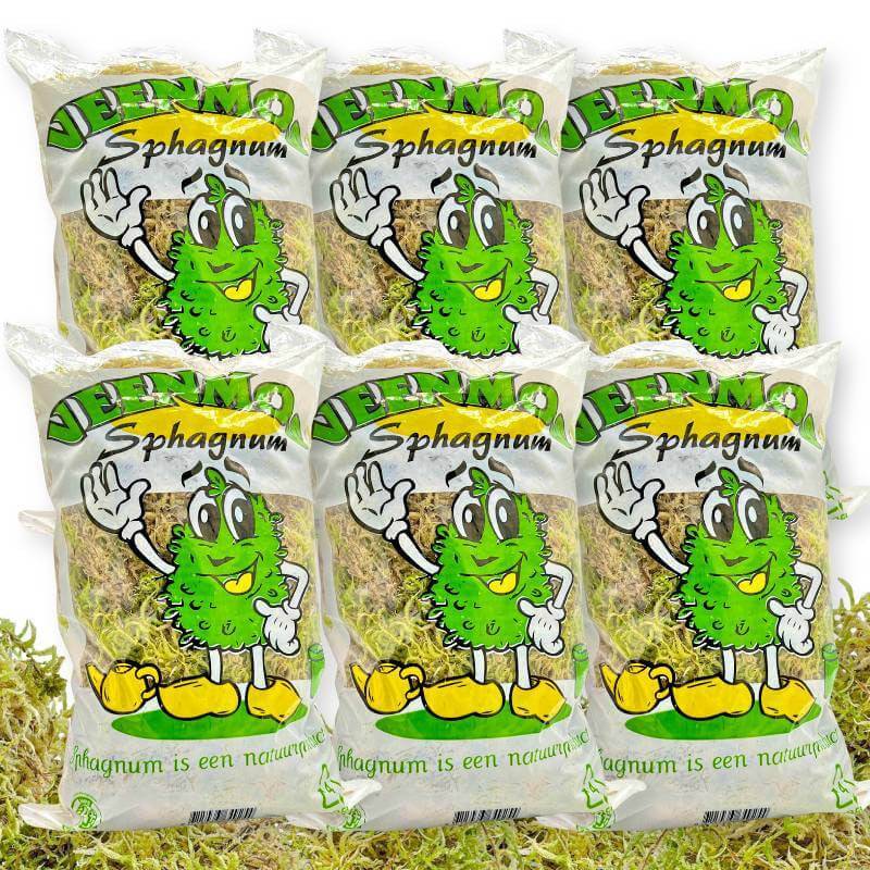 Pack Producteur Sphaigne Vivante - Sphaigne pour plante - Mousse de sphaigne - 6 sachets