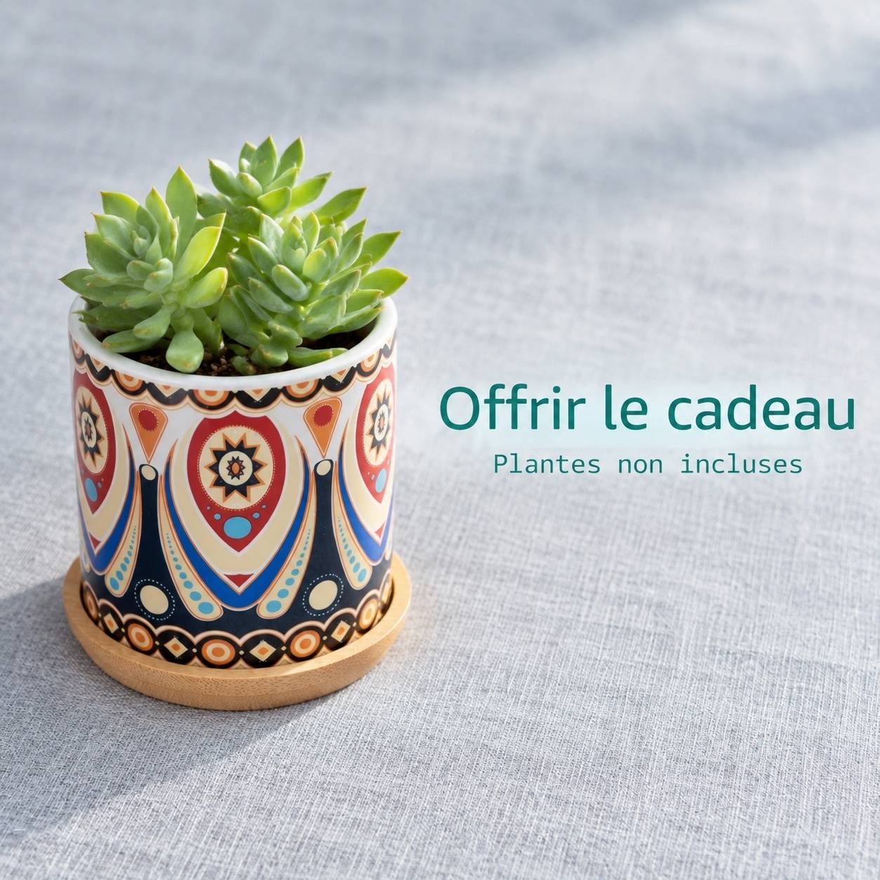 Set de 6 Pots en Céramique Mandala pour Plantes Succulentes avec Soucoupes - Image 6