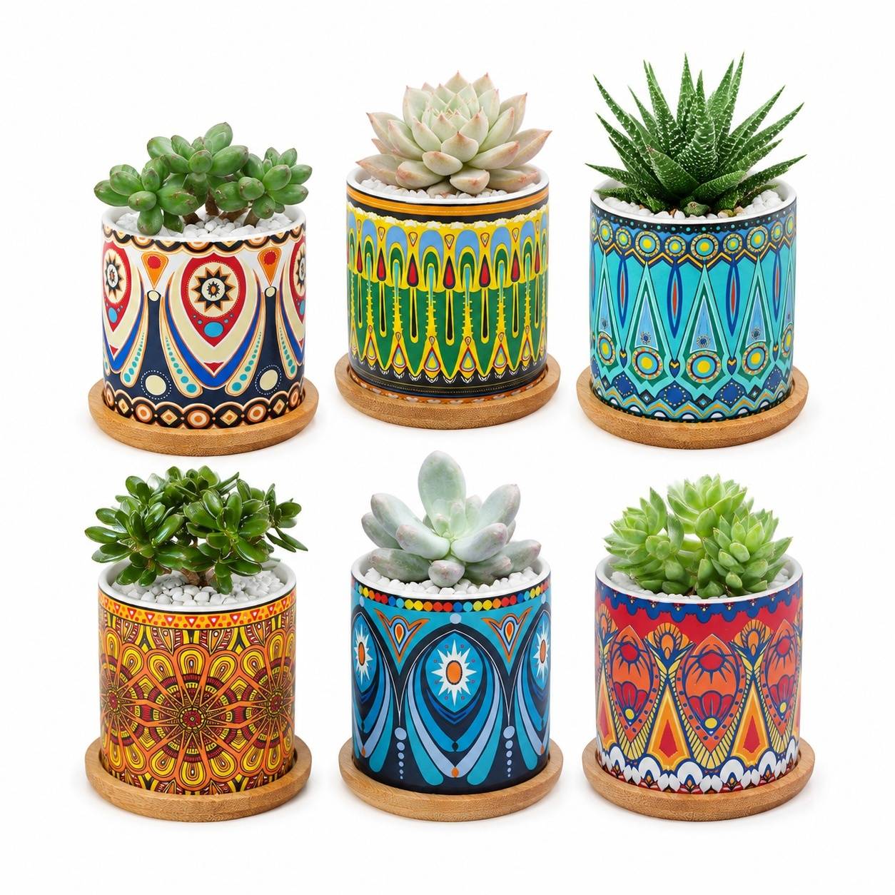 Set de 6 Pots en Céramique Mandala pour Plantes Succulentes avec Soucoupes - Image 1