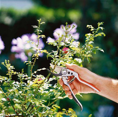 Gardena - Sécateur pro BP 50 Gardena - Imagen 2