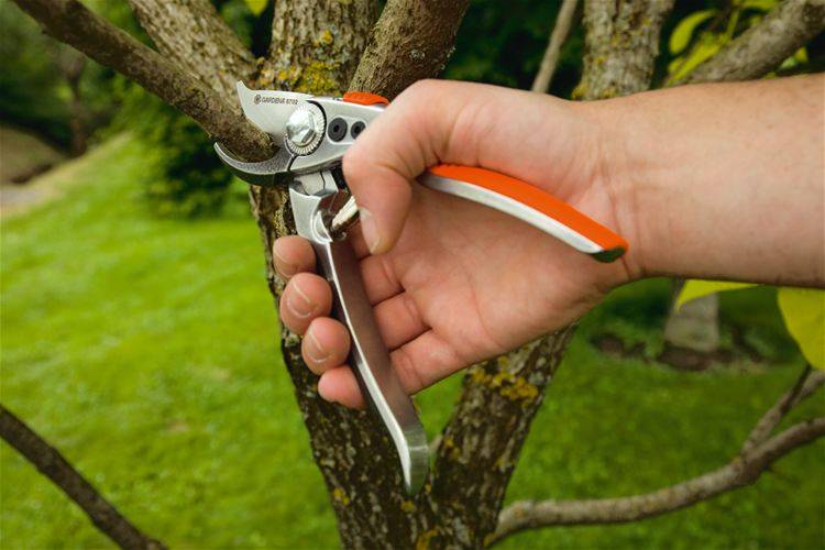 Gardena - Sécateur pro BP 50 Gardena - Imagen 4