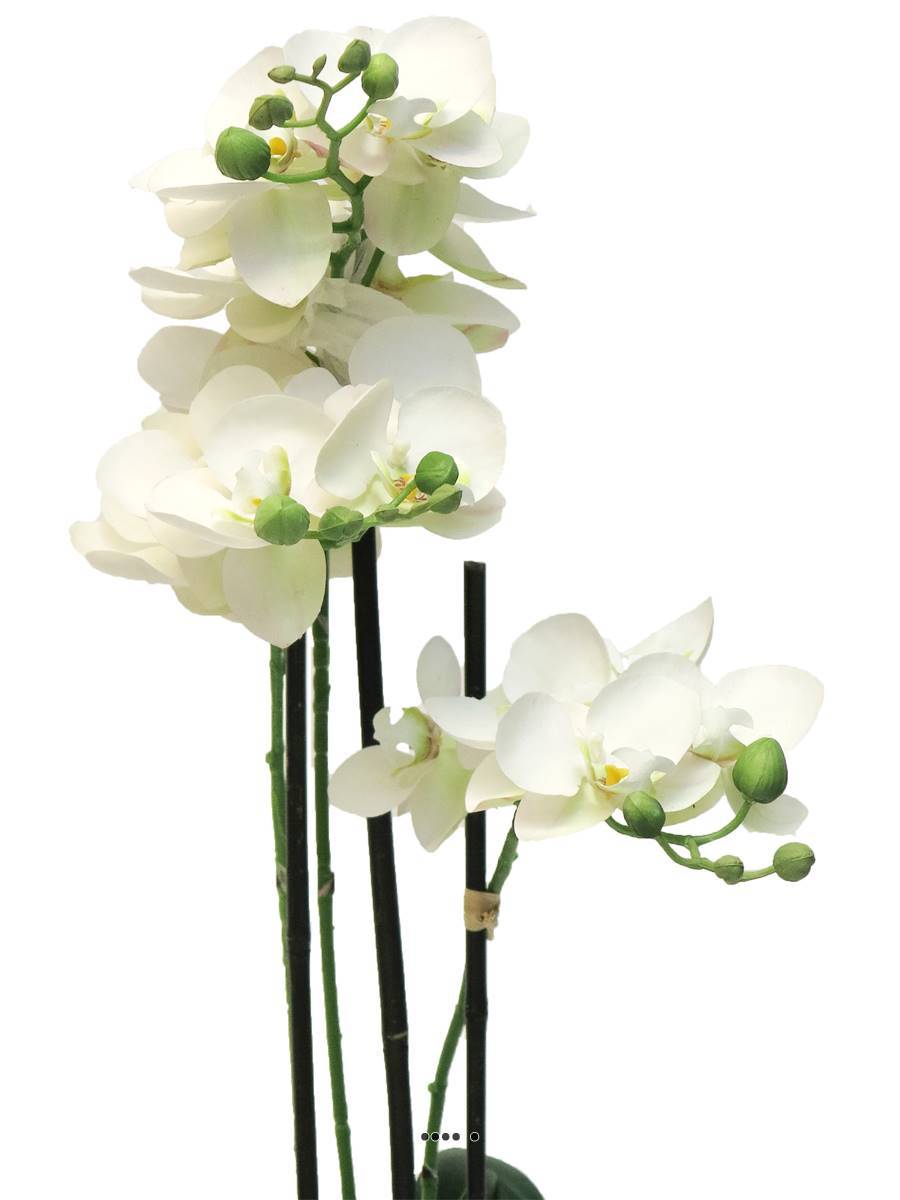 Artificielles - Orchidée Phalaenopsis factice pot 3 hampes de qualité H60cm Crème-BEST - couleur: Crème - Imagen 3