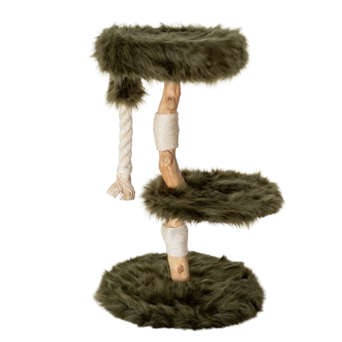 Rhr Concepts Bv - Arbre à chat Furry Bengal (Vert Forêt) - RHR Concepts BV - Image 1
