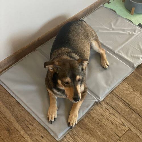 Tapis rafraîchissant pour animaux gris 90x50cm Purlov - Image 10