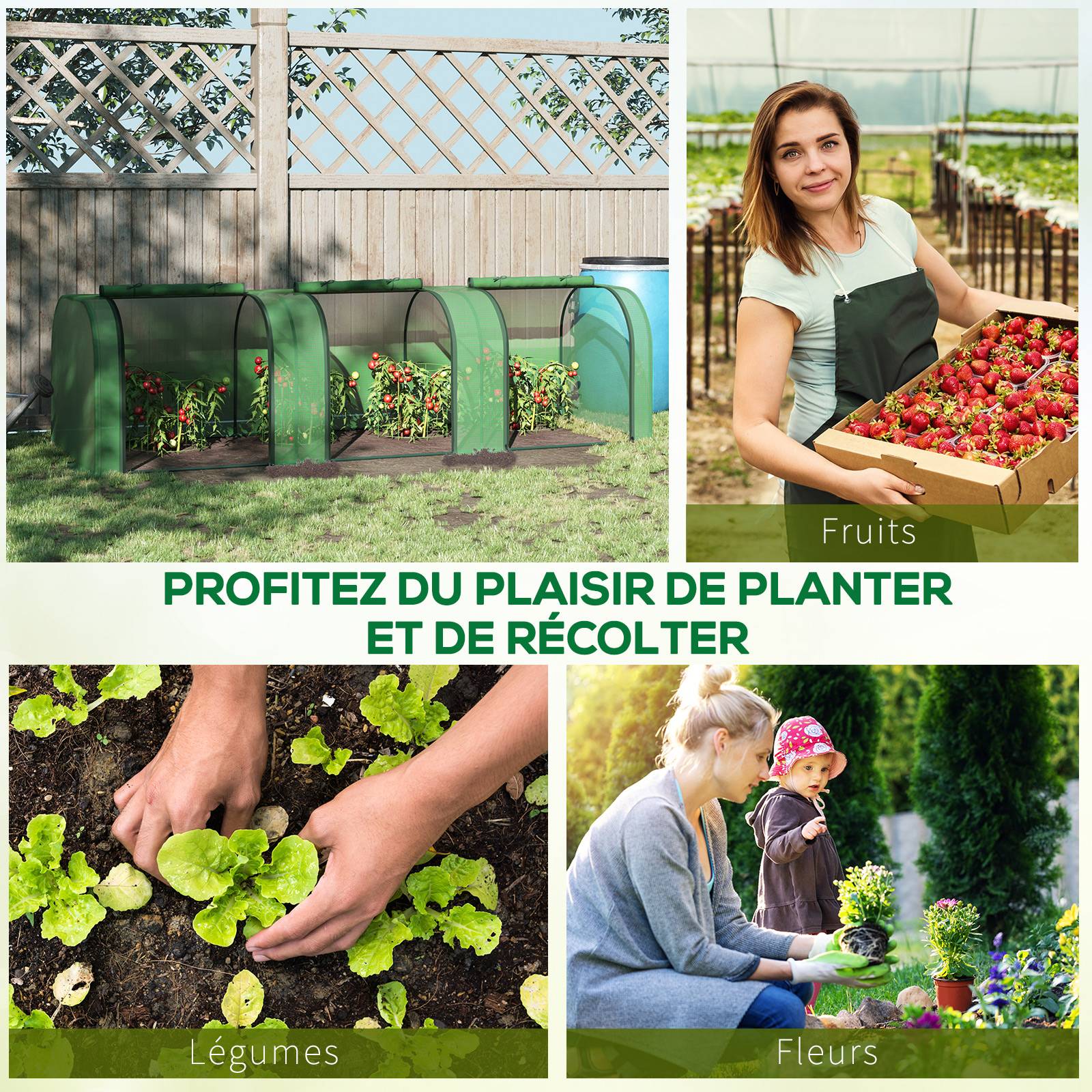 Mini Serre de Jardin Serre à tomates 3L x 1l x 0,8H m Acier PE Haute densité 140 g/m² Anti-UV 3 fenêtres Vert - Image 9