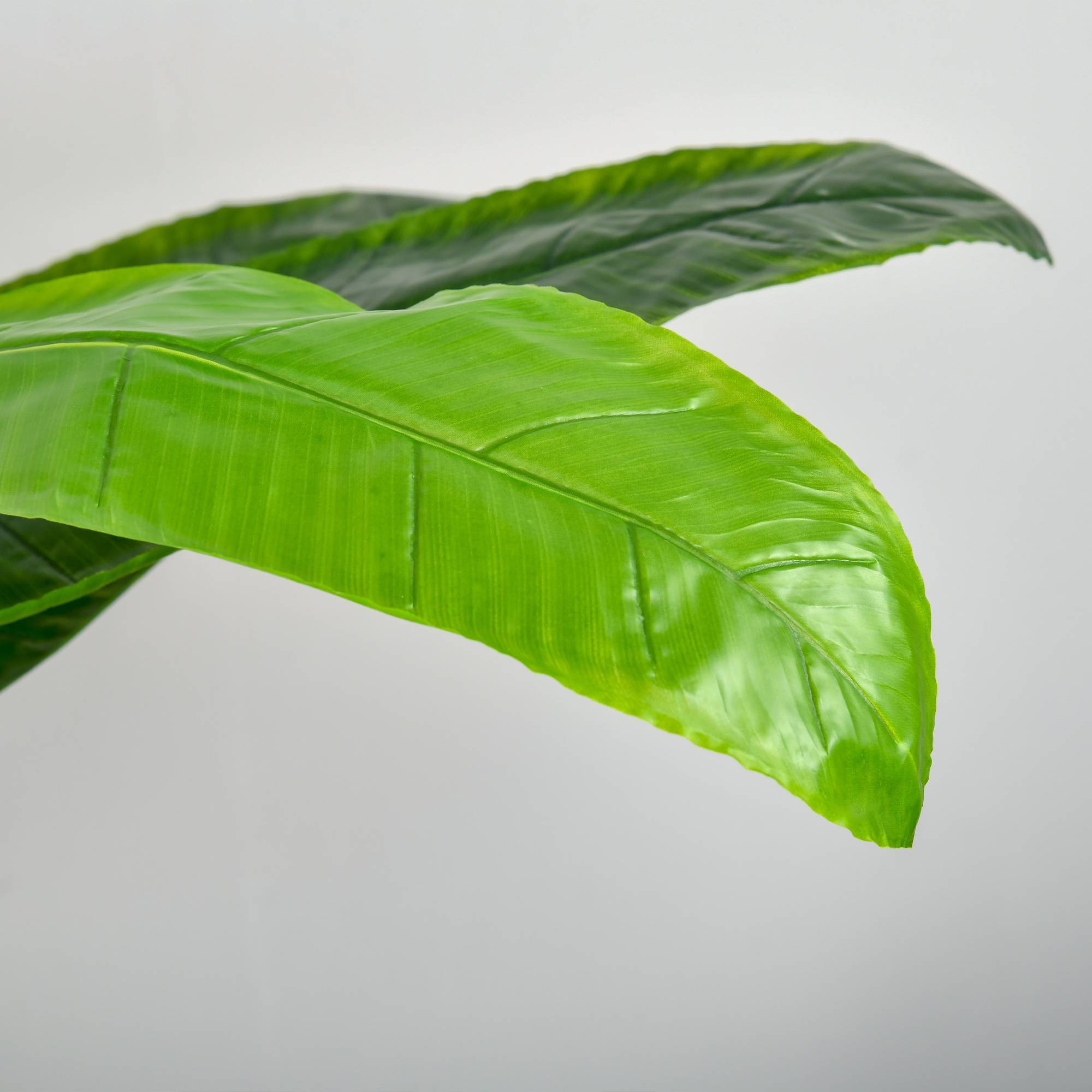 Bananier artificiel plastique vert 17 x 17 x 150 cm - PANGIVO - Image 10