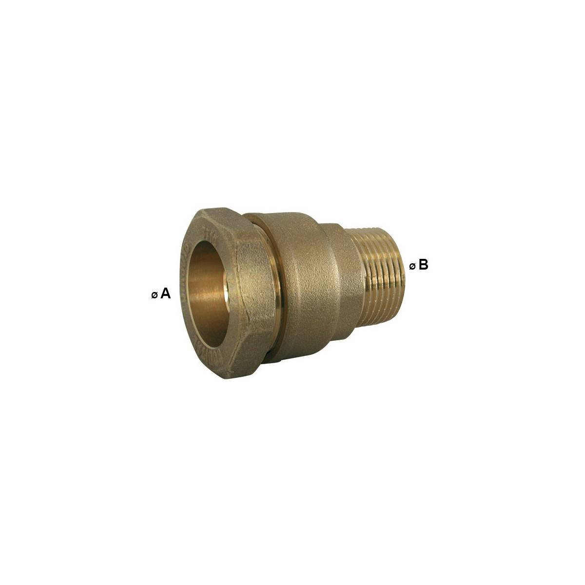 Codital - Raccord Droit Mâle Laiton Série 7000 PN16 | Jonction Compression PE - Ø A: 40mm | Ø B: 1''1/2 - Image 2