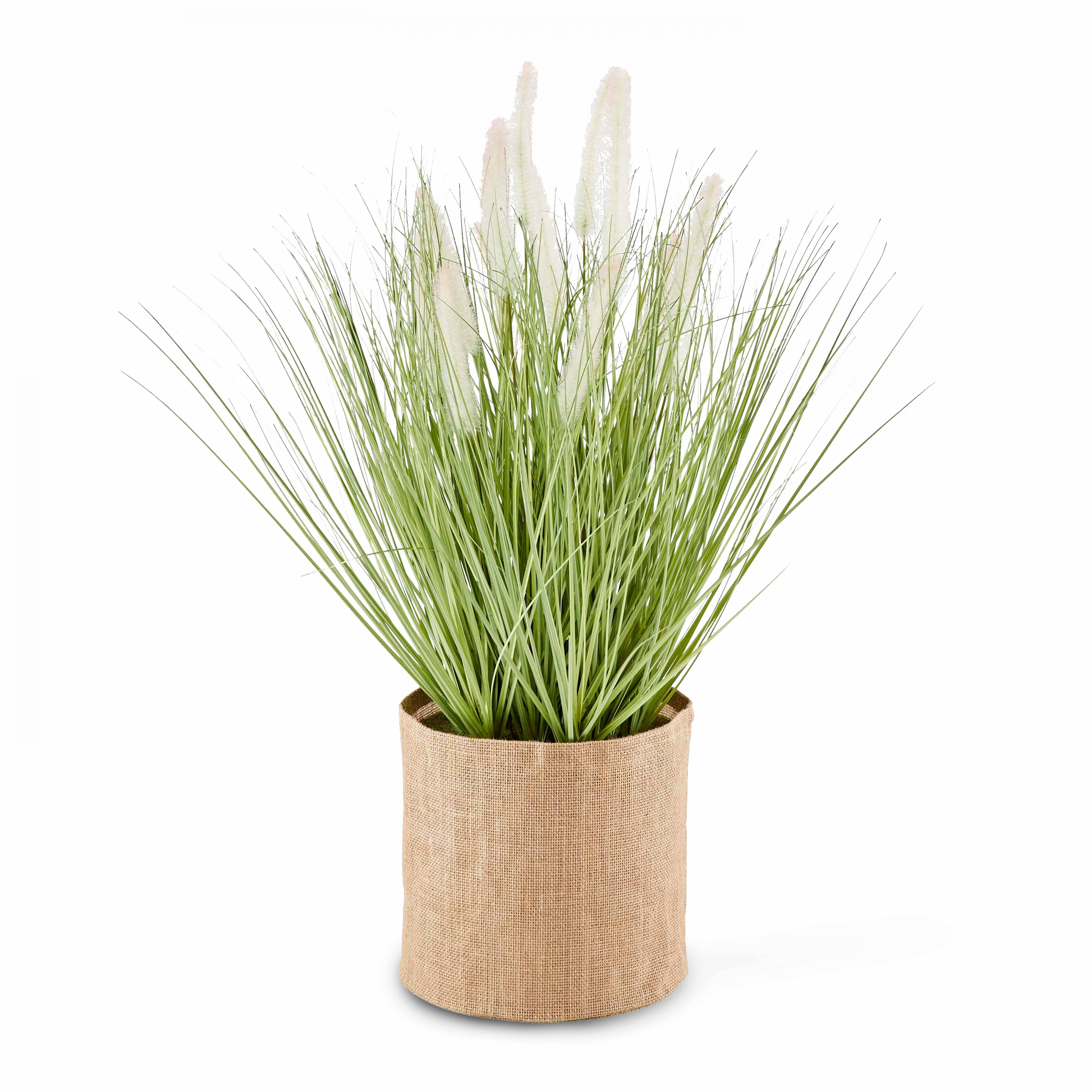 Oviala - Plante artificielle vert en pot H 75 - Oviala - Image 1