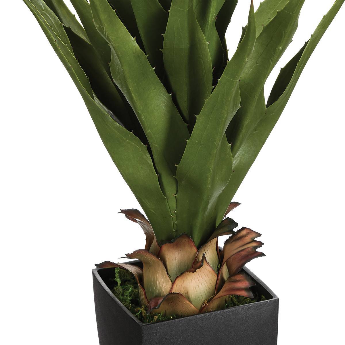 Atmosphera - Agave artificielle H73cm - Atmosphera Créateur d'intérieur - Imagen 2