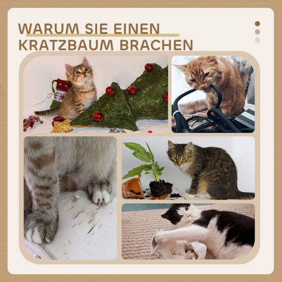 Arbre à Chat 72 cm Multi-Niveaux avec Poteaux en Sisal, Plateforme et Balles en Peluche, Griffoir pour Chats de Taille Moyenne, Blanc Crème - Image 6