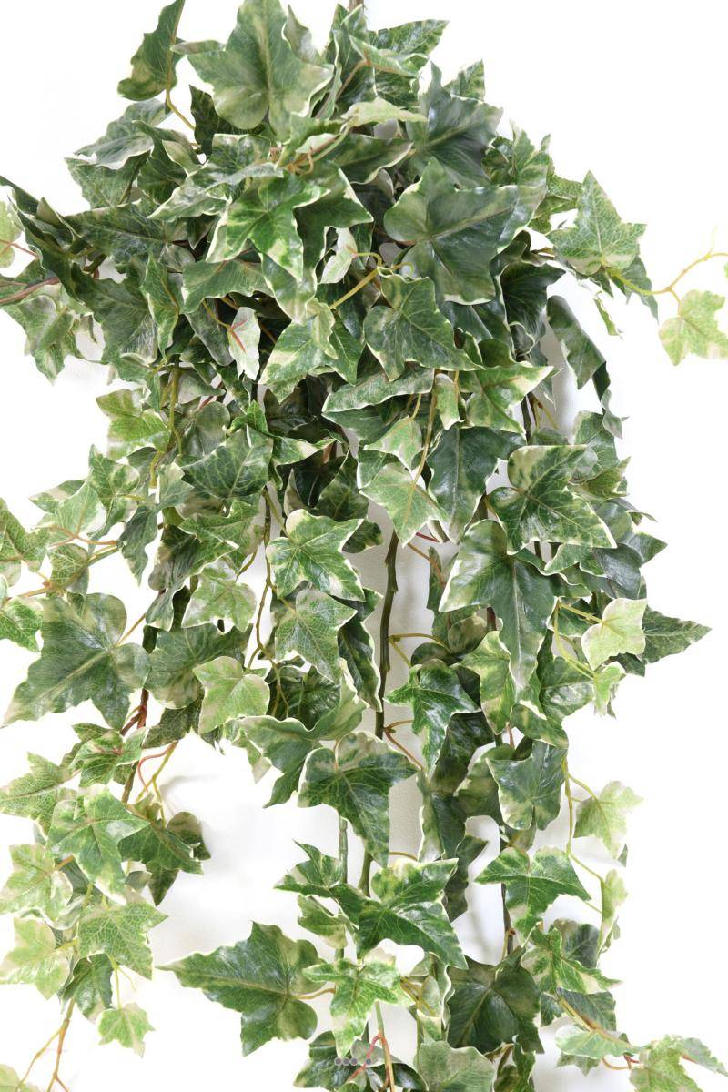 Artificielles - Lierre artificiel Hedera Helix en chute L 120 cm Panaché - dimhaut: H 120 cm - couleur: Blanc-vert - Imagen 2
