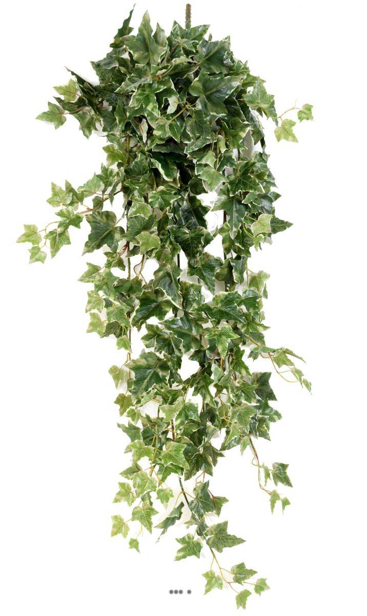 Artificielles - Lierre artificiel Hedera Helix en chute L 120 cm Panaché - dimhaut: H 120 cm - couleur: Blanc-vert - Imagen 1