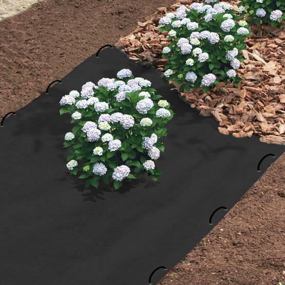 Lot de 30 agrafes pour toile de paillage 10 CM - Image 3