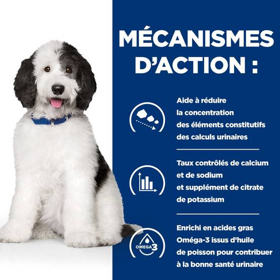 CROQUETTES CHIEN ADULT PRESCRIPTION DIETS C/D URINARY - HILL'S 12 kg - Image 7