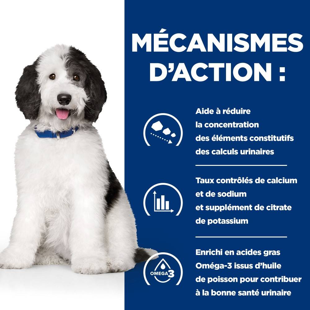 CROQUETTES CHIEN ADULT PRESCRIPTION DIETS C/D URINARY - HILL'S 12 kg - Image 7