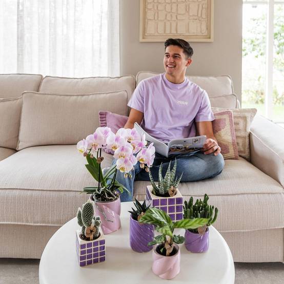Pot décoratif Mosa Lilac- La Green Touch - Image 3