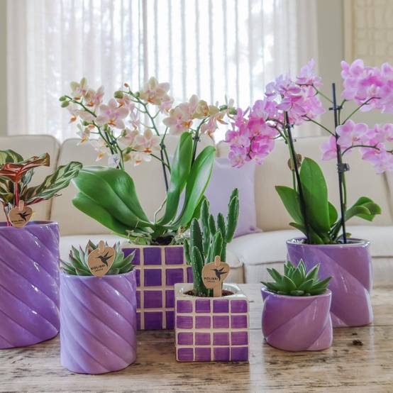 Pot décoratif Mosa Lilac- La Green Touch - Image 7