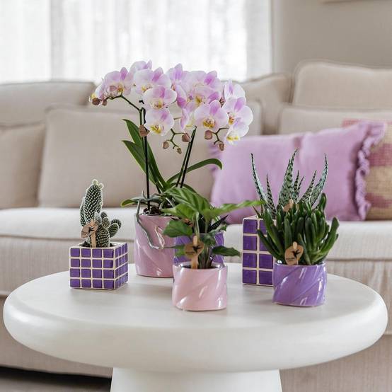 Pot décoratif Mosa Lilac- La Green Touch - Image 5
