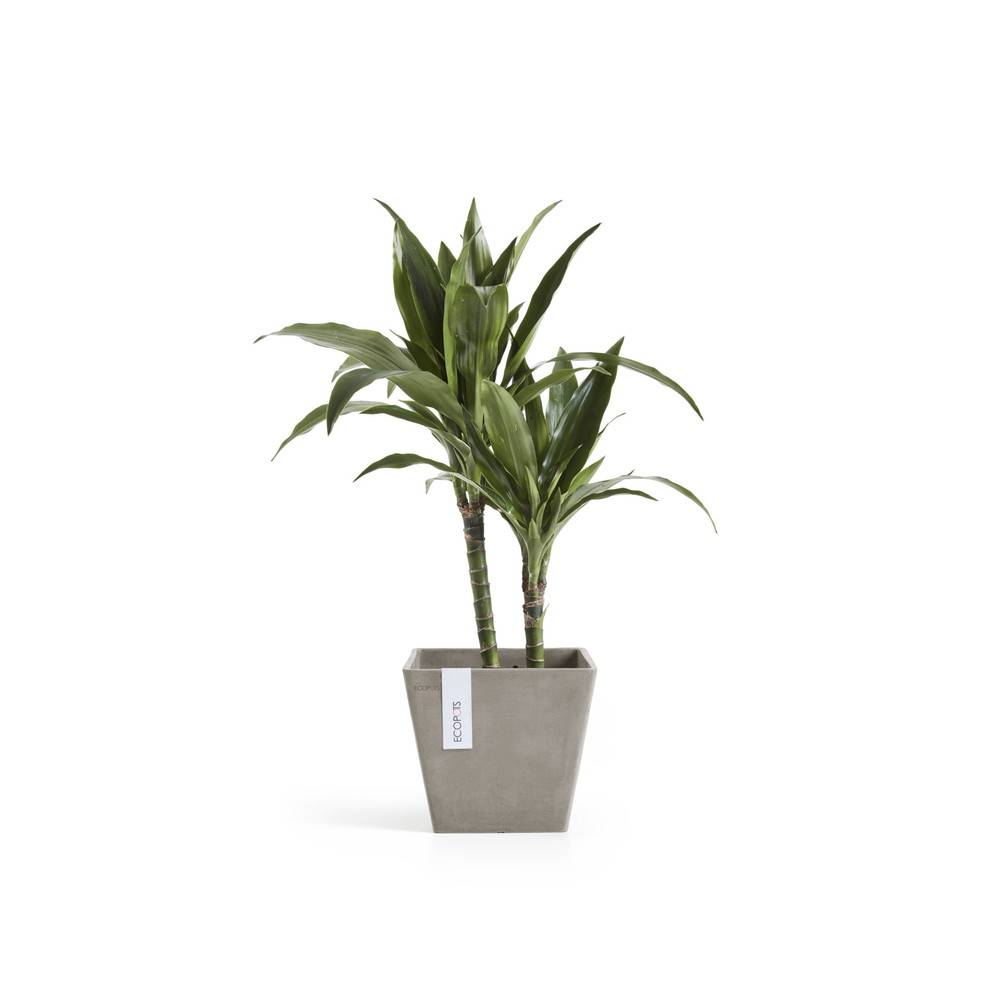 Ecopots - Pot Carré Rotterdam 20 Taupe - 20 x 20 x H. 17,5 cm - 5,2 L ECOPOTS - Imagen 3