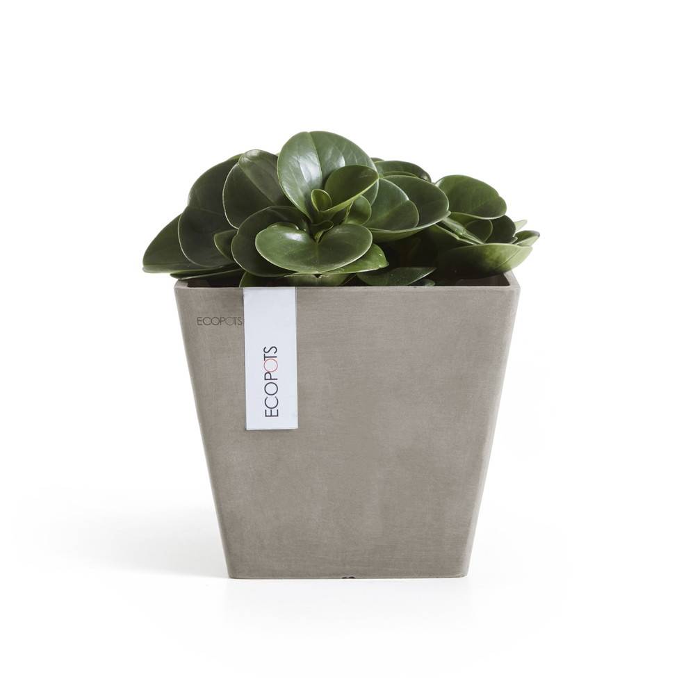 Ecopots - Pot Carré Rotterdam 20 Taupe - 20 x 20 x H. 17,5 cm - 5,2 L ECOPOTS - Imagen 1
