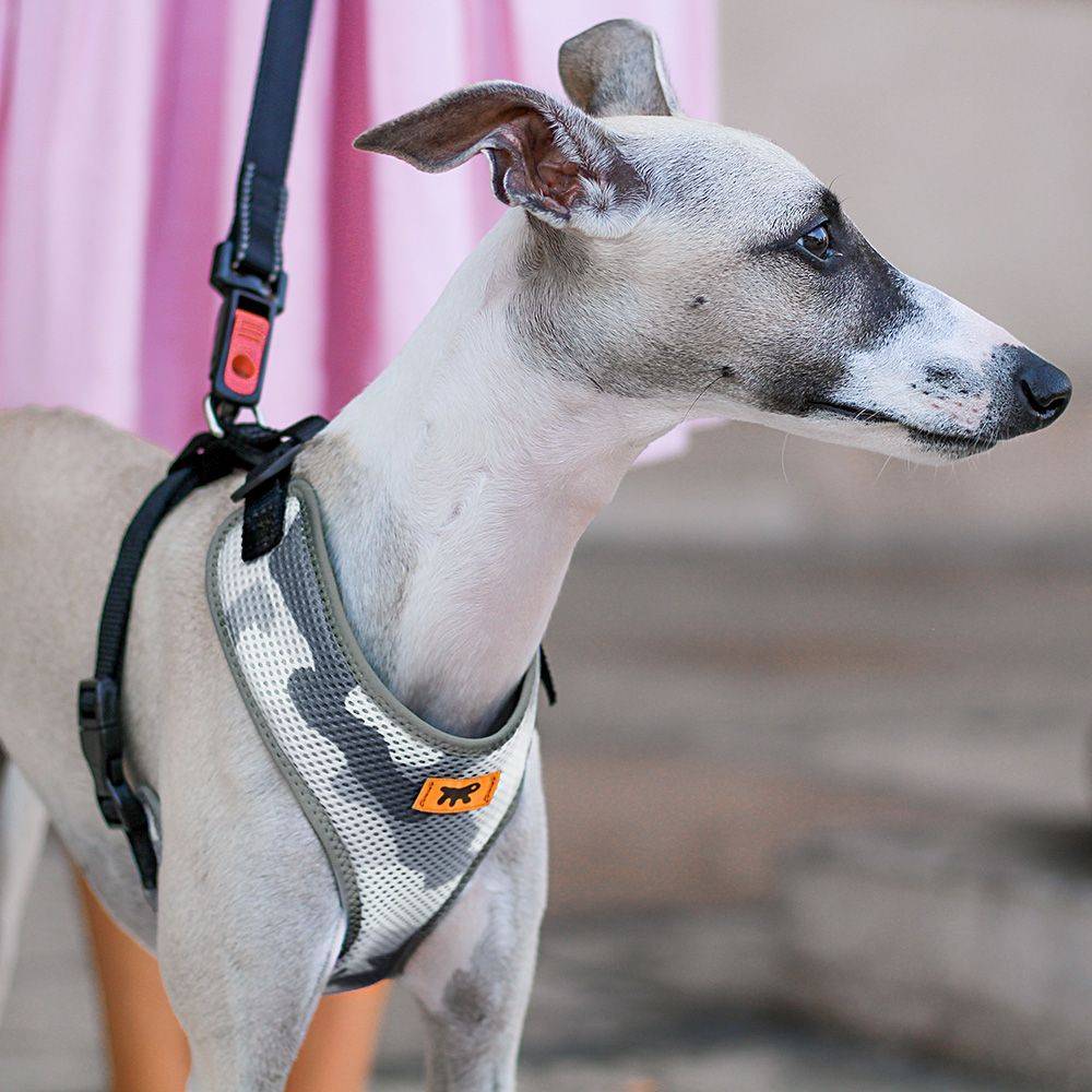Ferplast - Ferplast Harnais Chien Taille Moyenne NIKITA M, Harnais pour Chien Respirant, Rembourré et Ajustable, Facile à Porter, Bords Réfléchissants, Poitrine - Imagen 4
