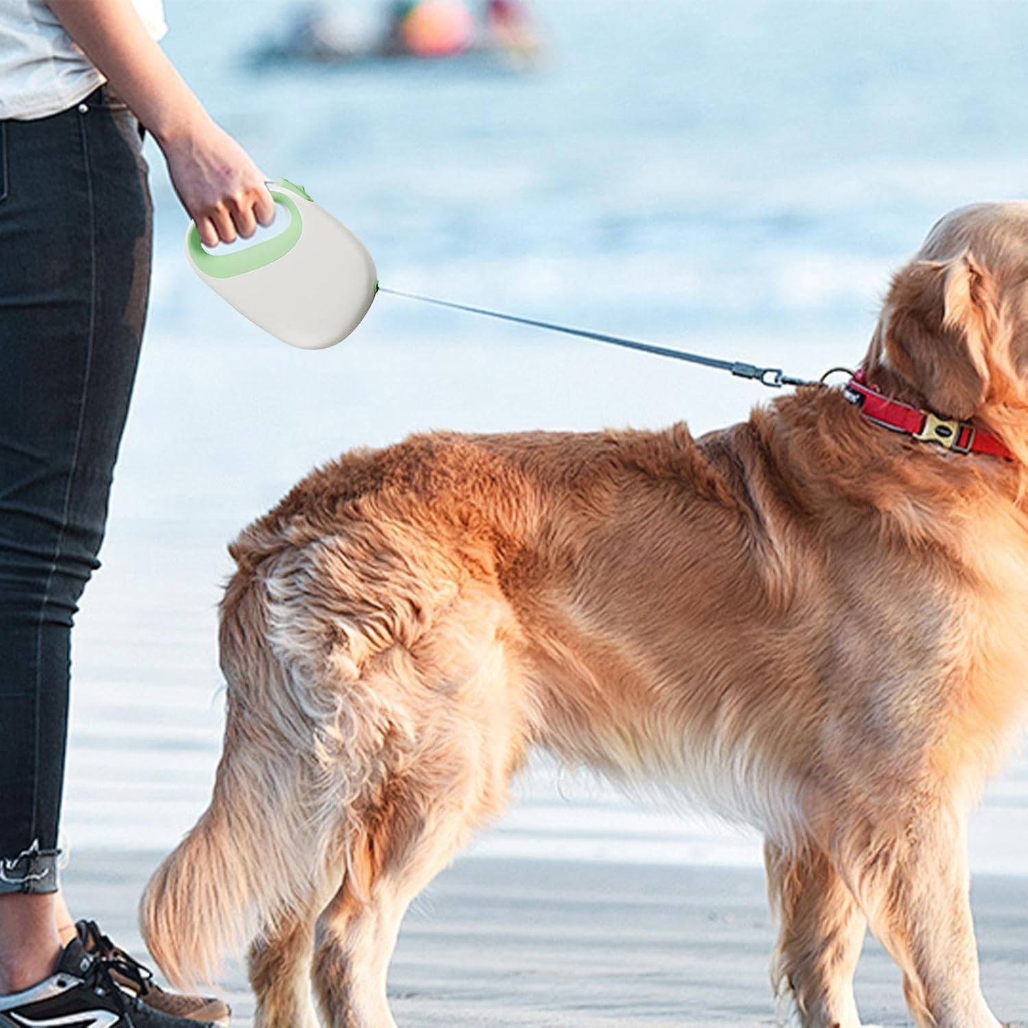 Laisse Rétractable Chien 5m - Robustesse et Portabilité DtopbuyAge - Image 2
