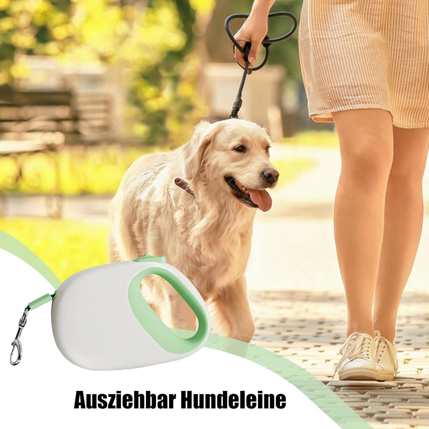 Laisse Rétractable Chien 5m - Robustesse et Portabilité DtopbuyAge - Image 5