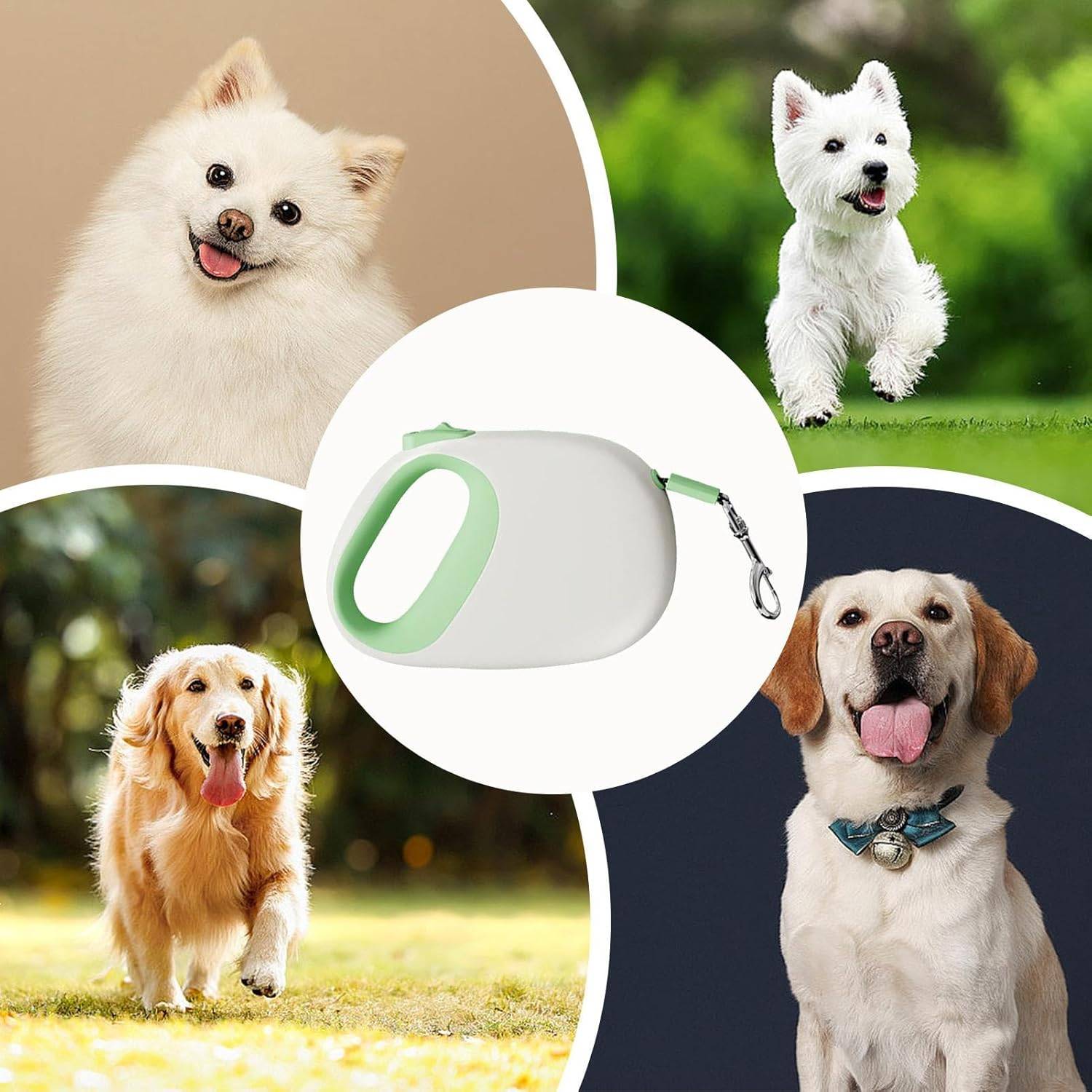 Laisse Rétractable Chien 5m - Robustesse et Portabilité DtopbuyAge - Image 4