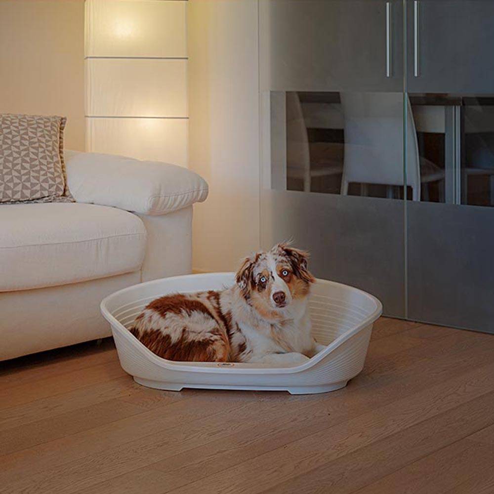 Ferplast - FERPLAST - Panier Chien  - Lit pour Chien en Plastique Medium - 100% Plastique Recyclé - Lit pou Chat Lavable - Respirant  Antidérapant - Siesta - Image 4