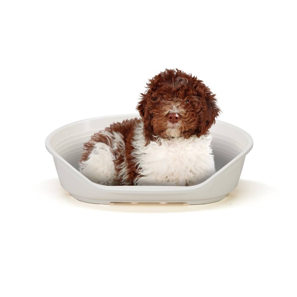 Ferplast - FERPLAST - Panier Chien  - Lit pour Chien en Plastique Medium - 100% Plastique Recyclé - Lit pou Chat Lavable - Respirant  Antidérapant - Siesta - Image 5