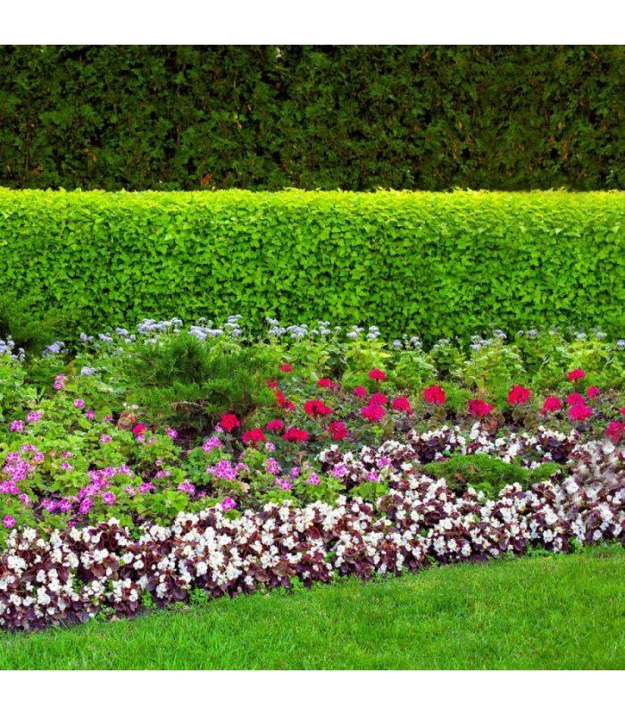 Terreau complet prêt à l'emploi Flori Fleurissement PAE 70L, idéal pour pots et balcon - Florivert NEG01617 - Image 2