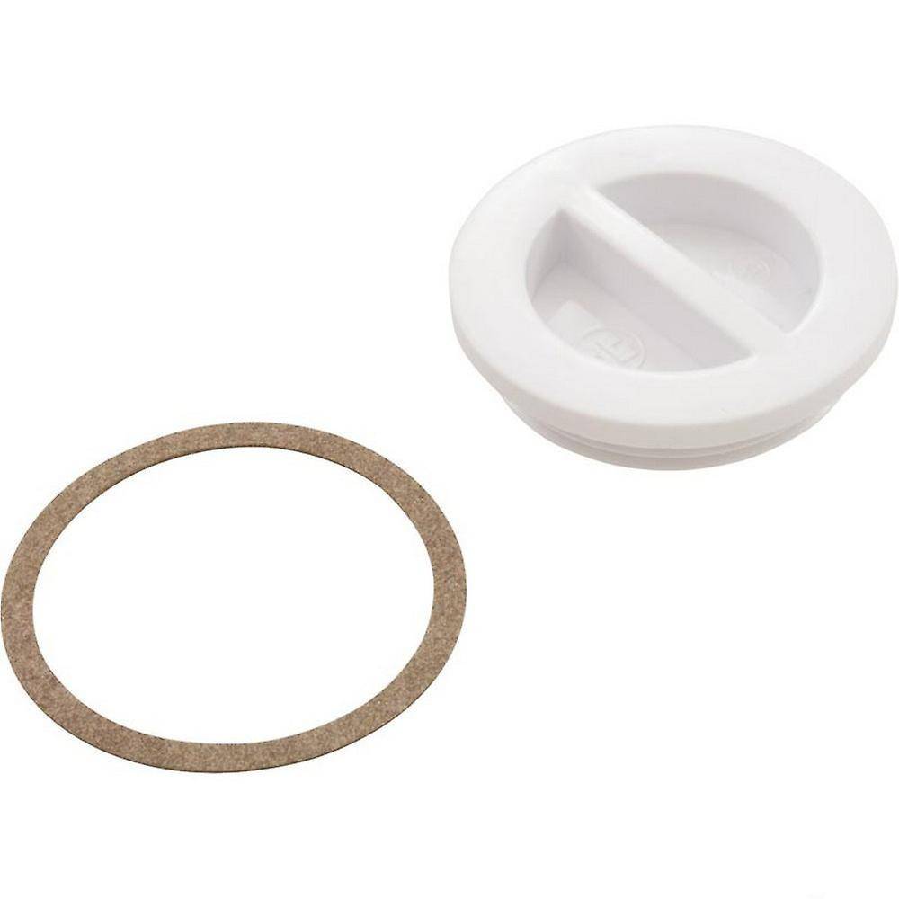Hayward - Bouchon hivernage plat compatible HAYWARD SP1022B - Imagen 3