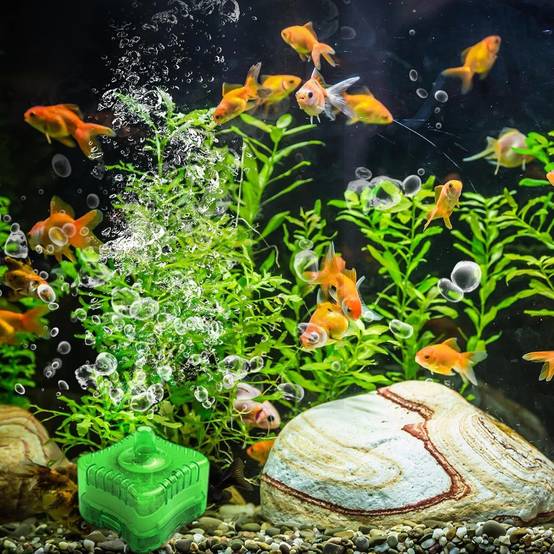 Filtration Éponge Multifonction pour Nano Aquarium DtopbuyAge - Image 2