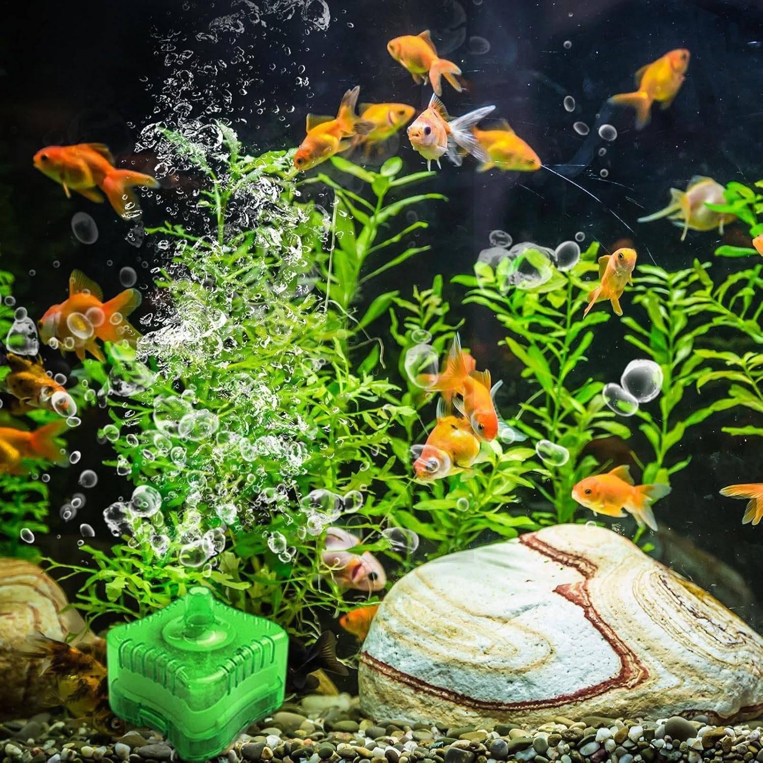 Filtration Éponge Multifonction pour Nano Aquarium DtopbuyAge - Image 2