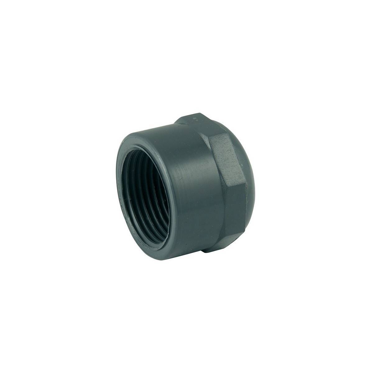 Multitanks - Bouchon femelle à visser en PVC - 2'' - Imagen 1